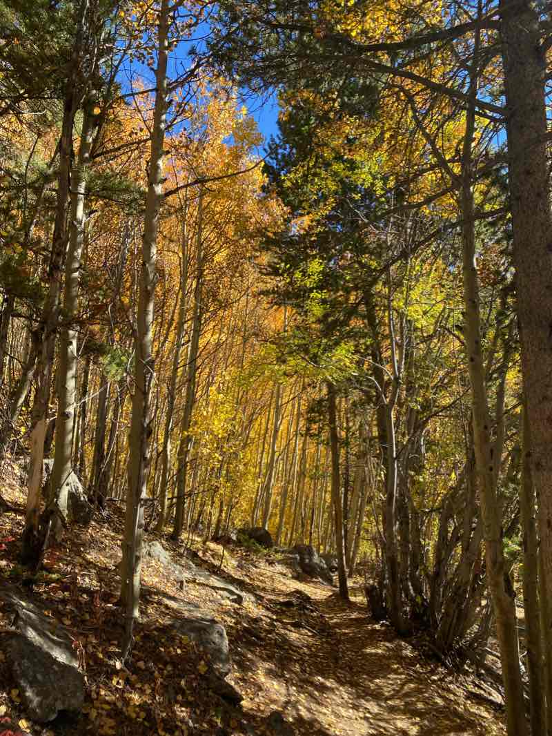 walking near me in Collegiate Peaks Wilderness in winter