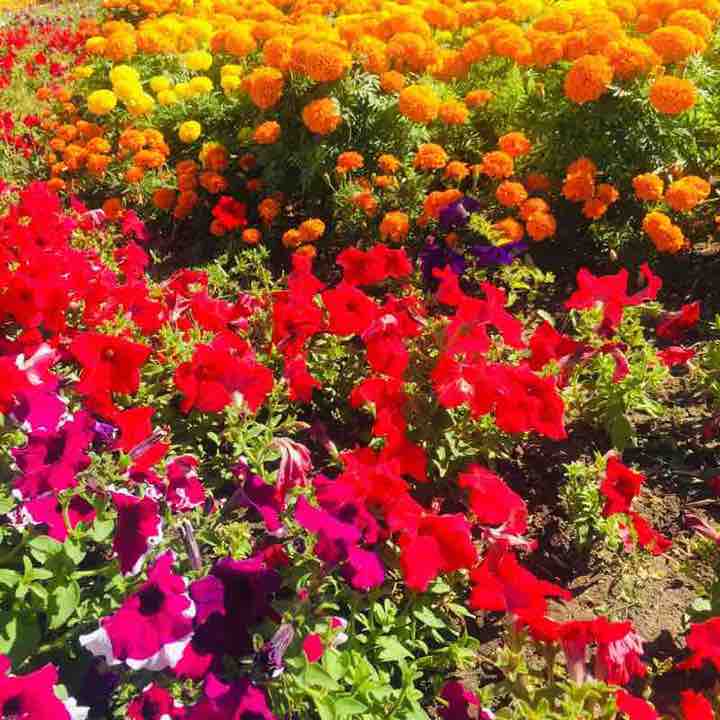 Иннара ❤️🔥 post 3