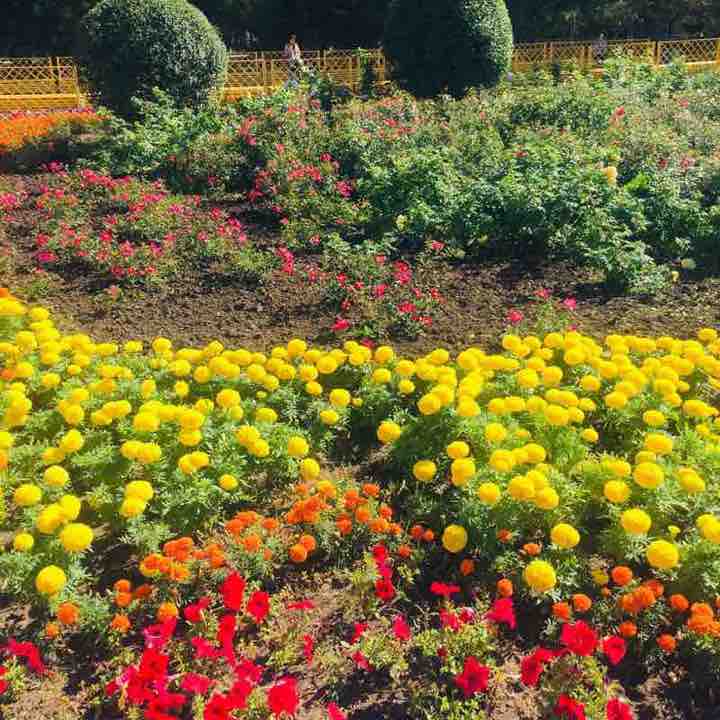 Иннара ❤️🔥 post 2