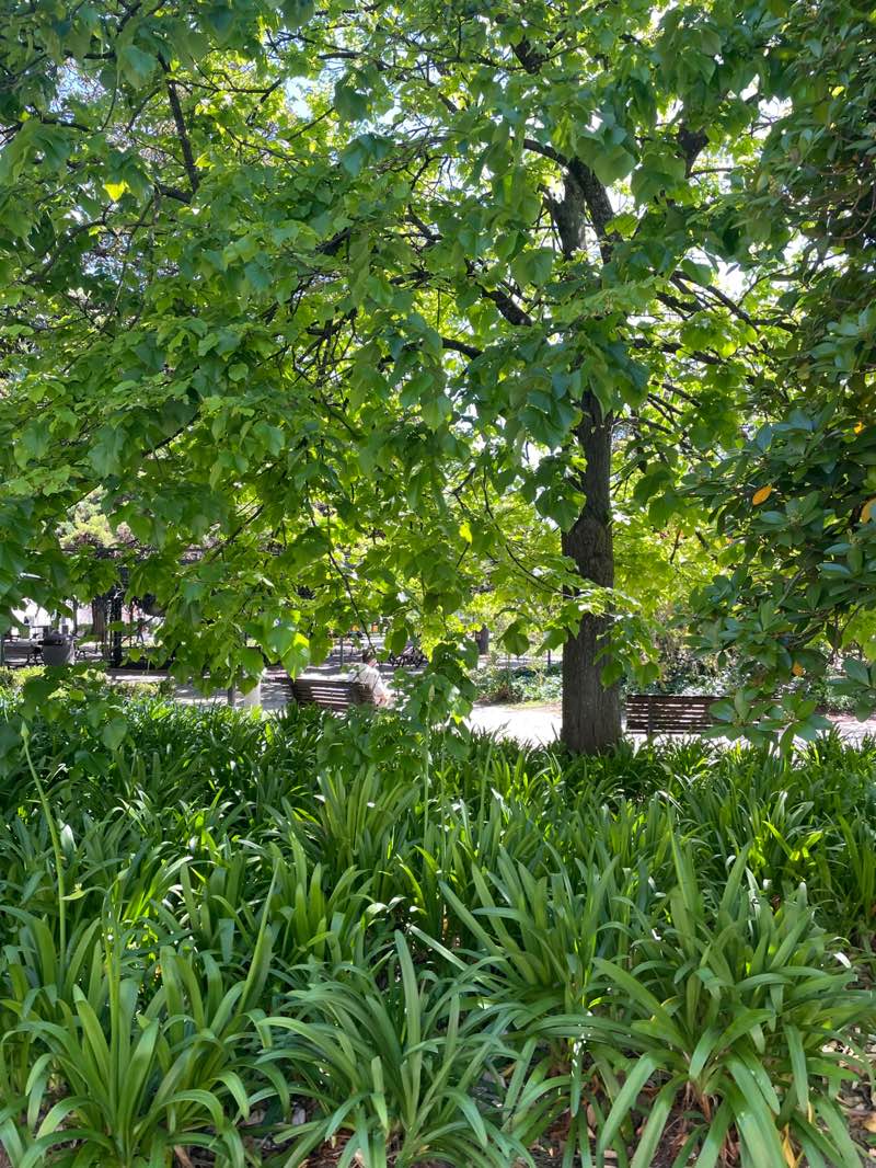 walking near me in Jardim do Príncipe Real in spring