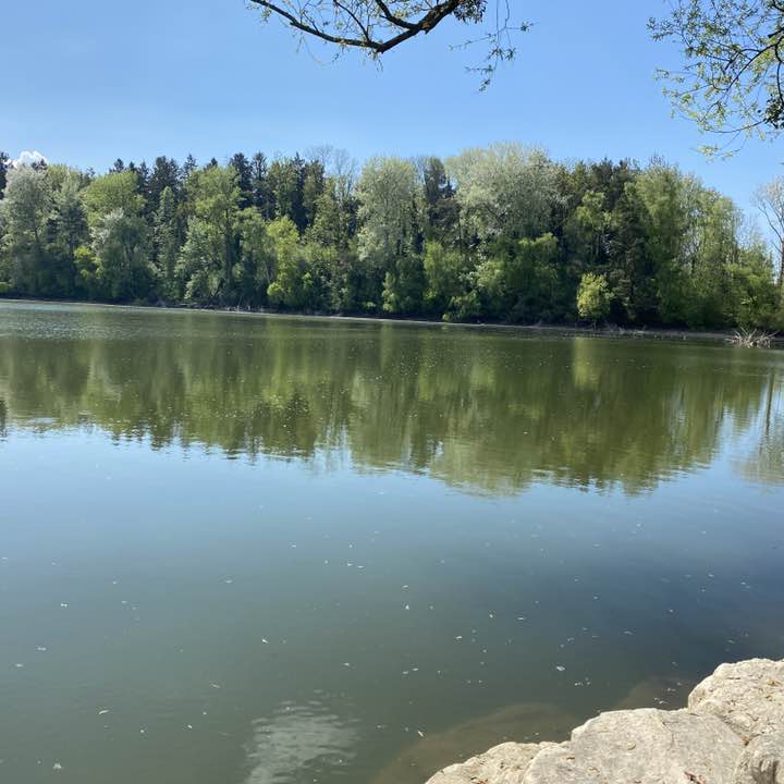 Barbara🇨🇭😀 post 3