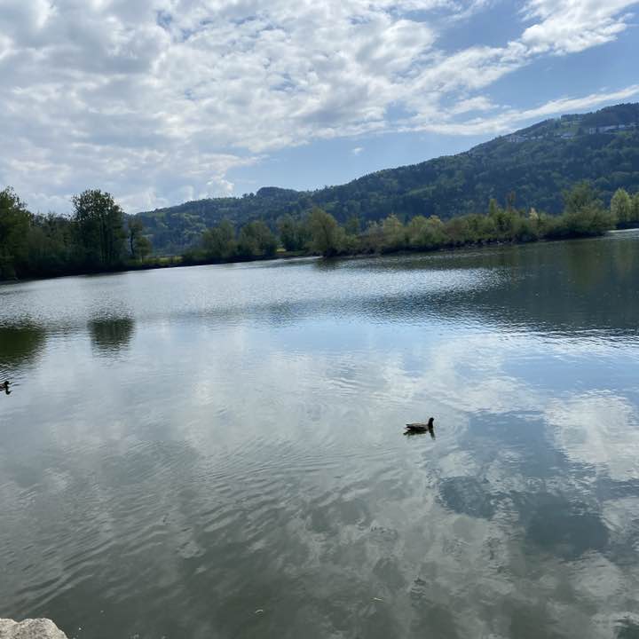 Barbara🇨🇭😀 post 1