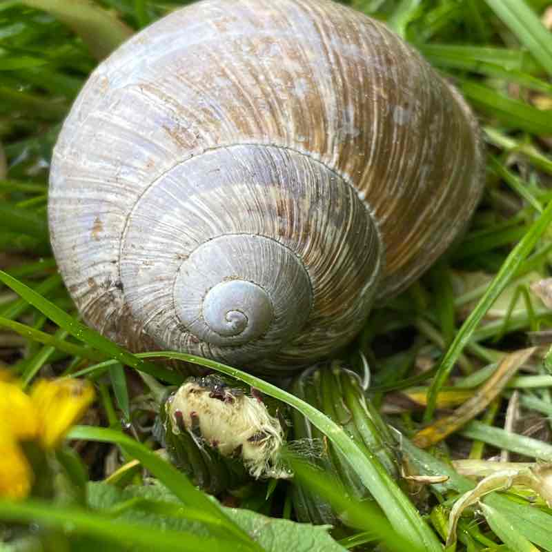 Barbara🇨🇭😀 post 1