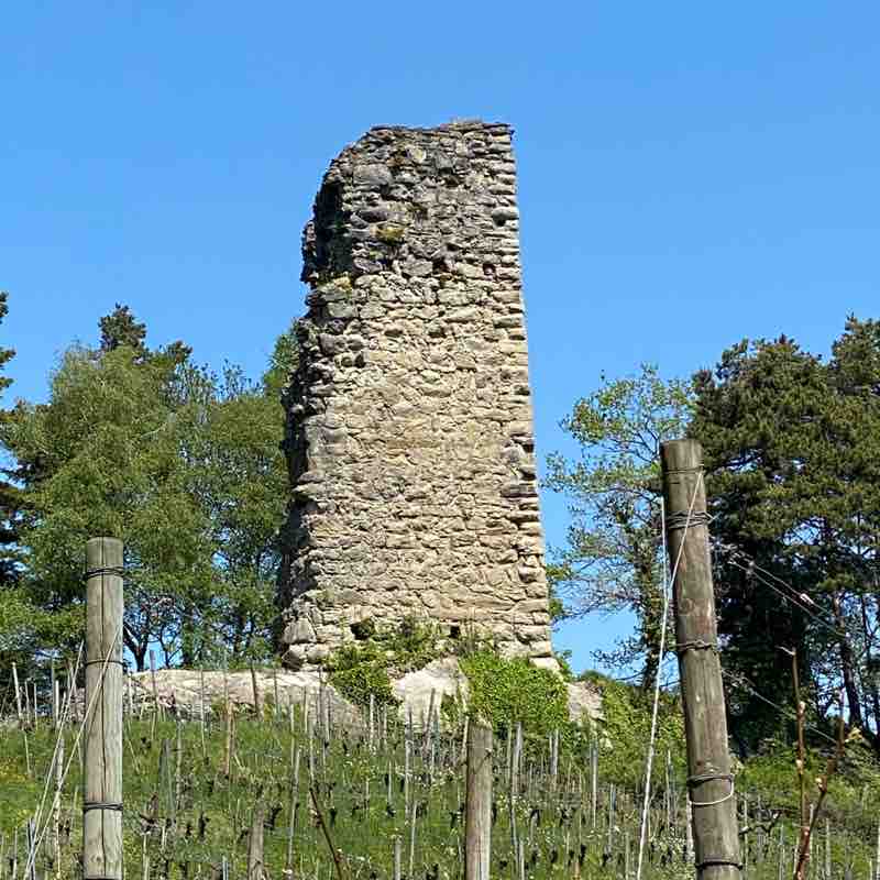 Barbara🇨🇭😀 post 2