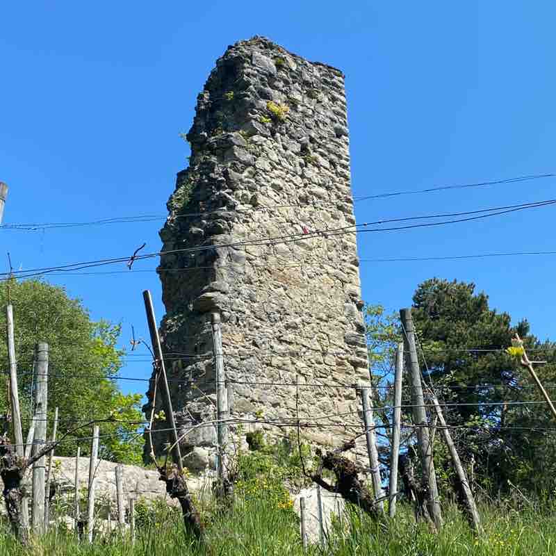 Barbara🇨🇭😀 post 1