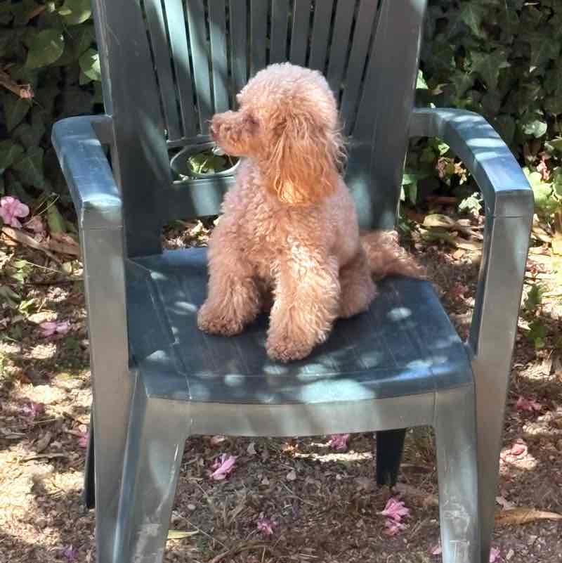 Ryder post 2