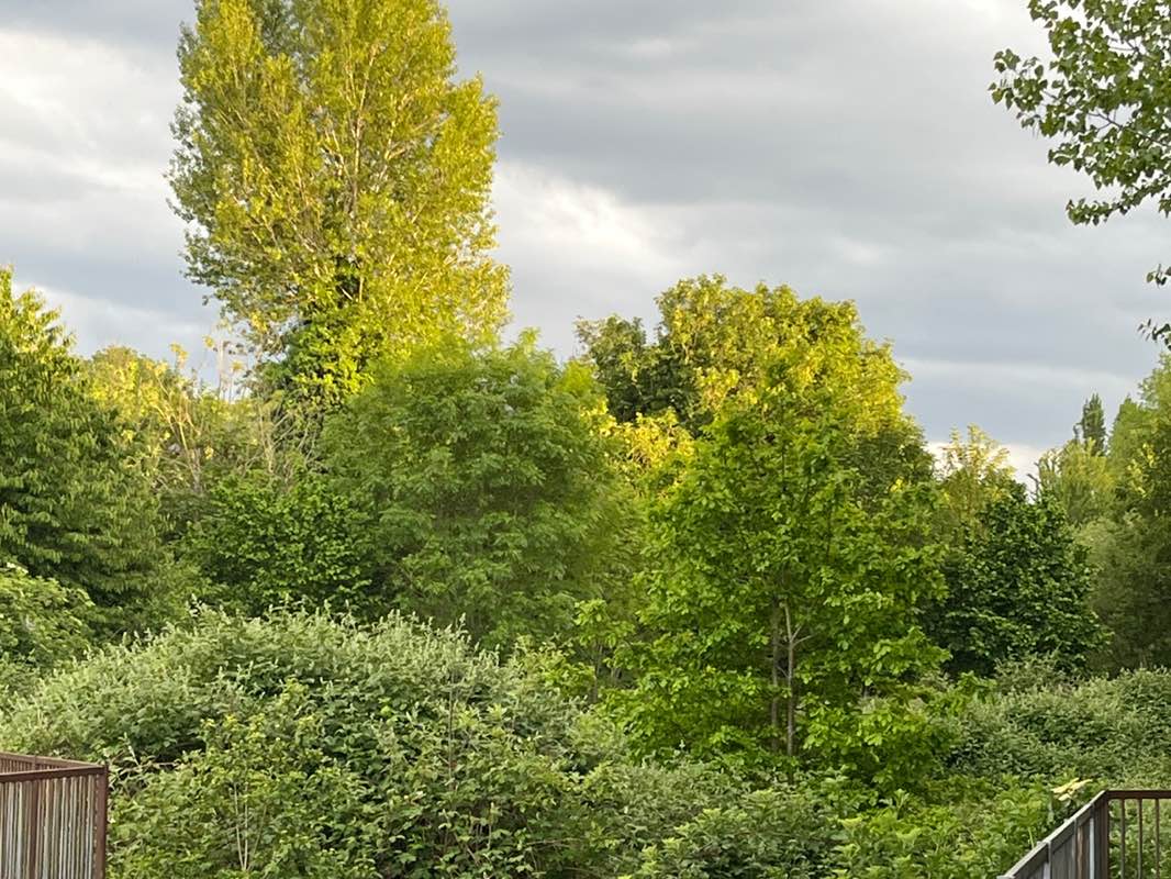 walking near me in St. Paul's Cray Recreation Ground in spring