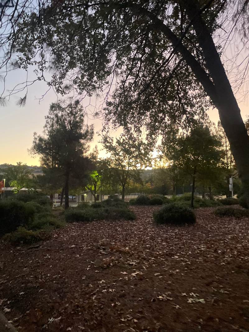 walking near me in El Dorado Hills Community Park in autumn
