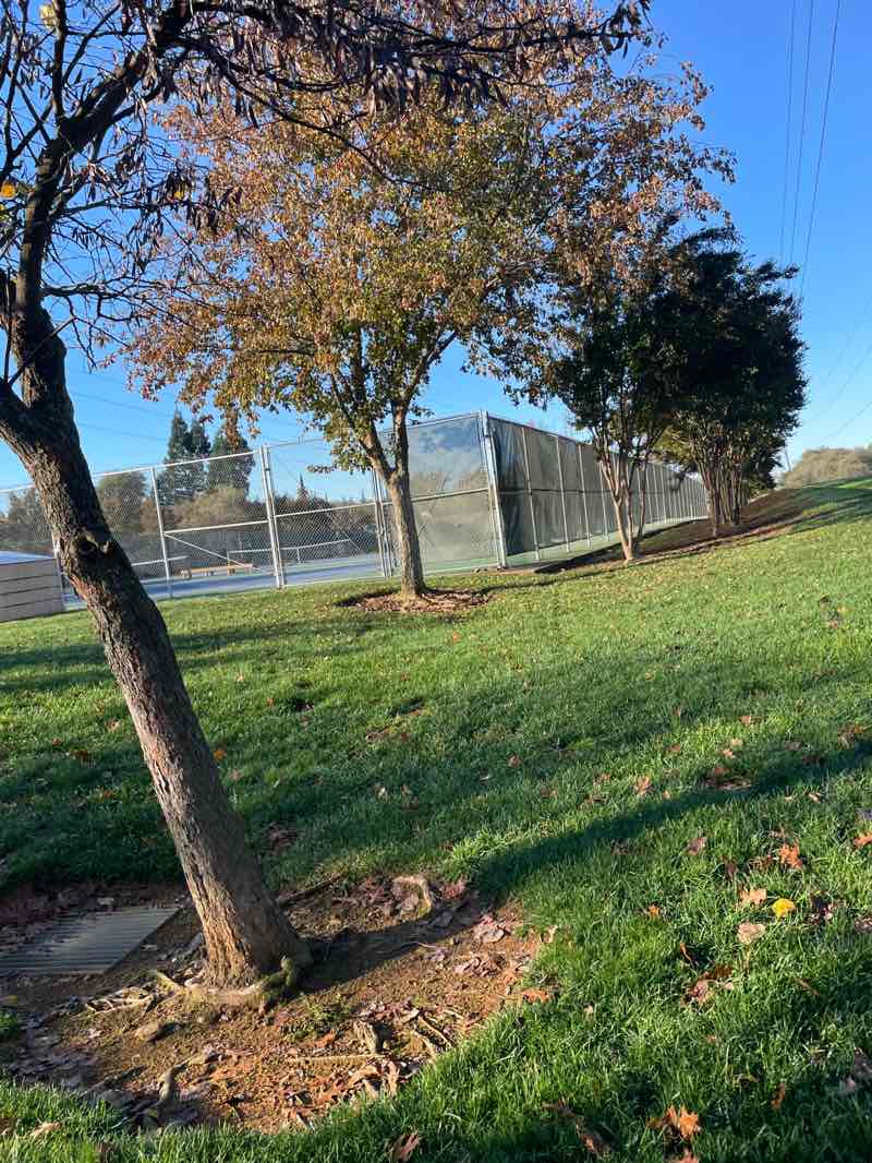 walking near me in Stephen Harris Park in autumn