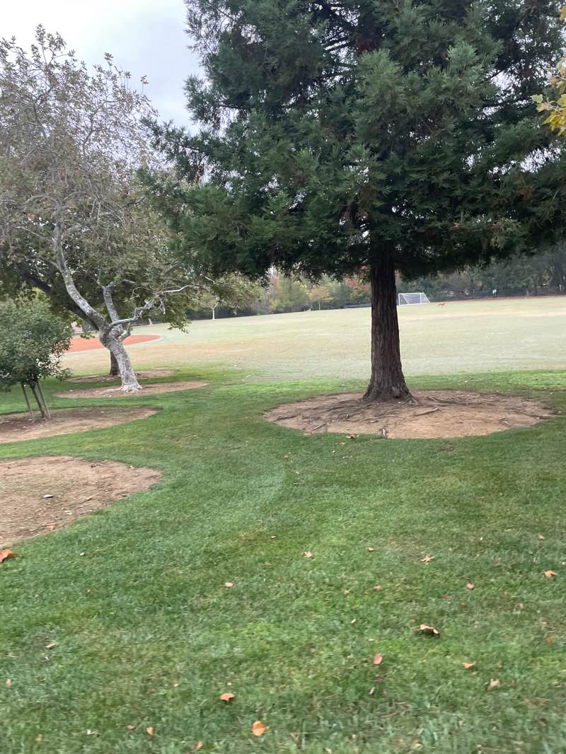 walking near me in El Dorado Hills Community Park in autumn