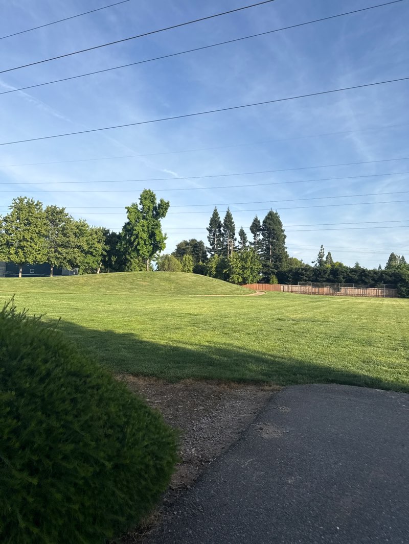 walking near me in Stephen Harris Park in spring