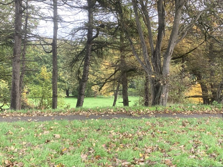 walking near me in Otterspool Park in autumn
