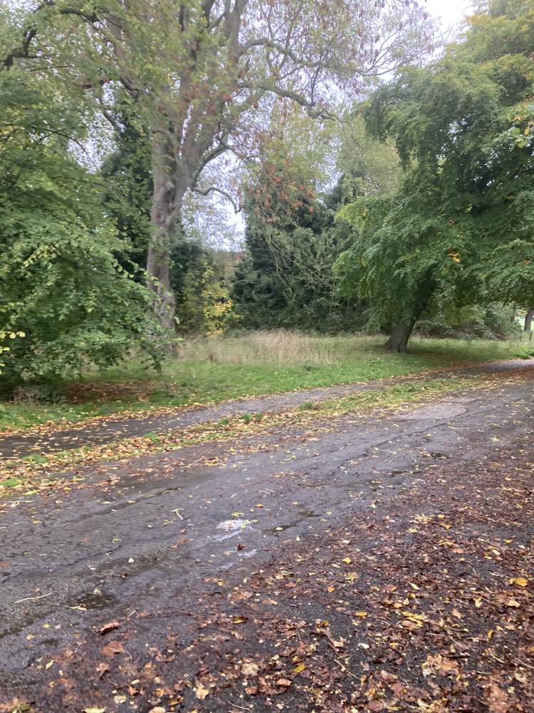 walking near me in Princes Park in autumn