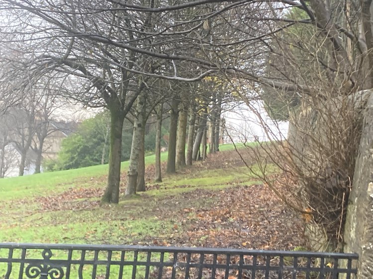 walking near me in Peel Park in winter