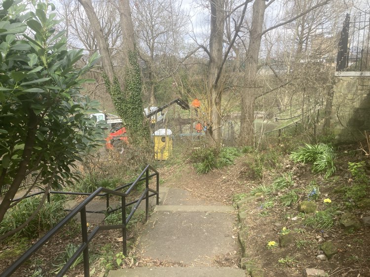 walking near me in Old Station Park in spring
