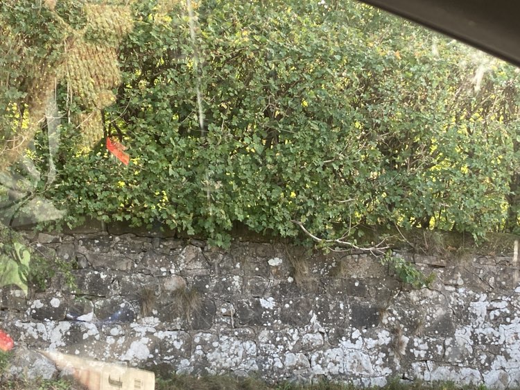 walking near me in Barloch Moor in autumn