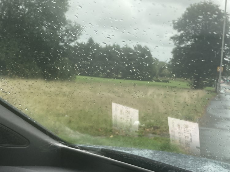walking near me in Cluny Park in autumn