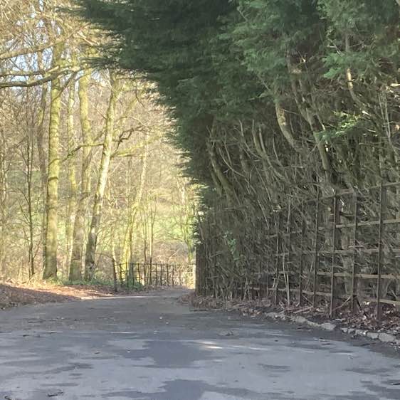 doo ron ron 🏴󠁧󠁢󠁳󠁣󠁴󠁿 post 1