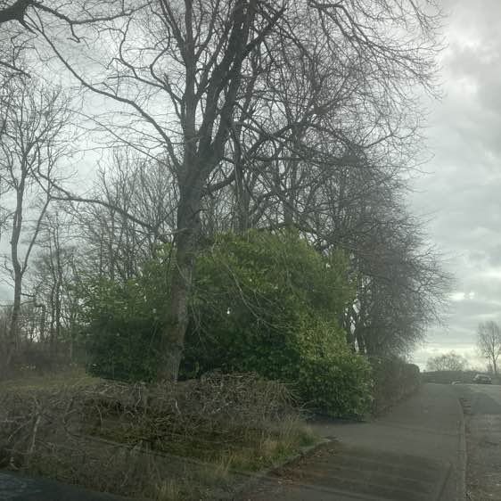 doo ron ron 🏴󠁧󠁢󠁳󠁣󠁴󠁿 post 1