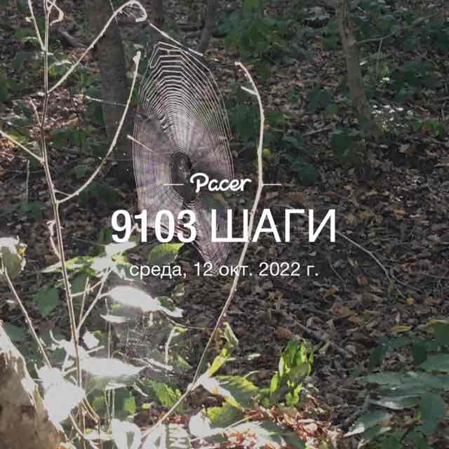 Наталья_1959 post 1