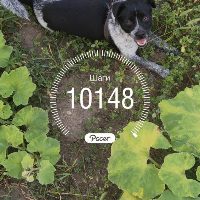 Наталья_1959 post 1