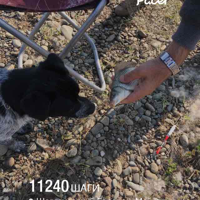 Наталья_1959 post 1