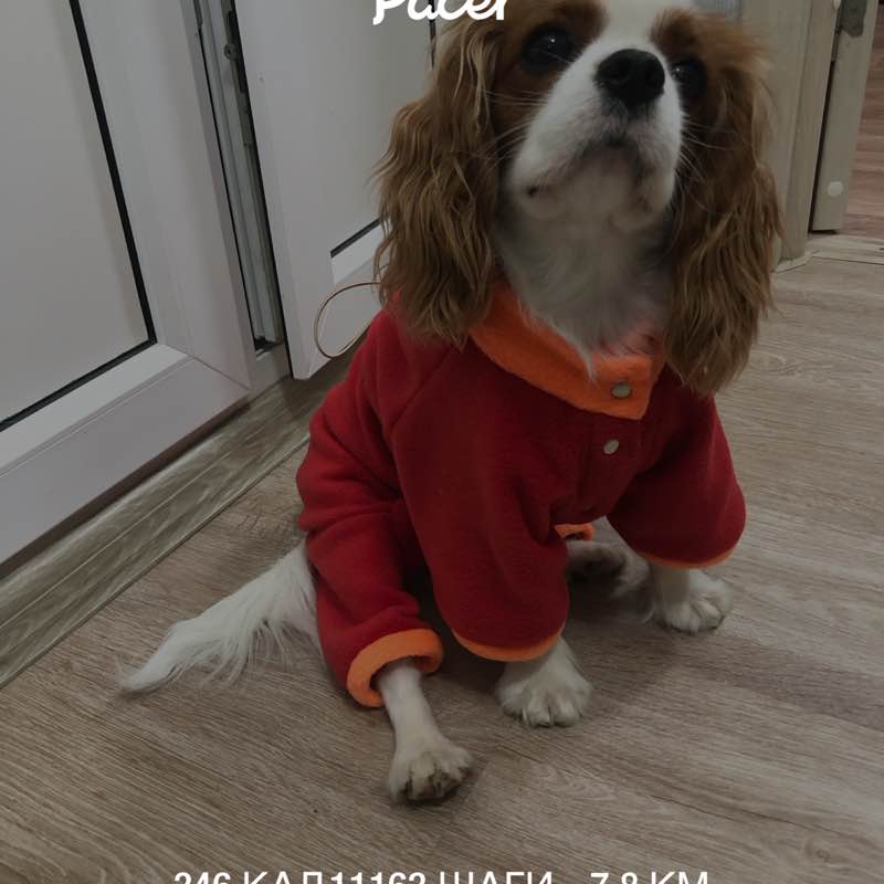 Наталья_1959 post 1