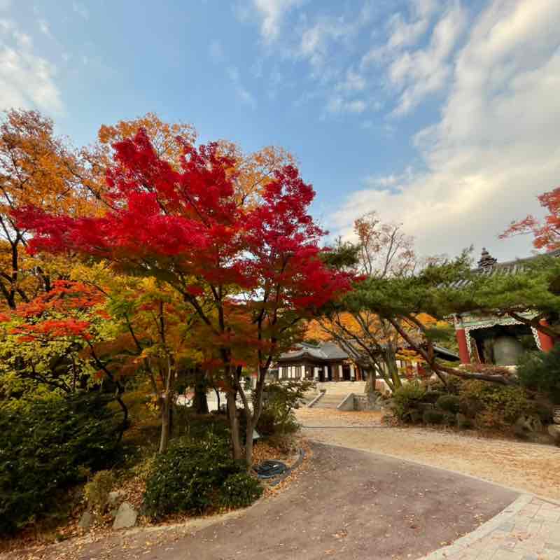 풍순이언니 post 2