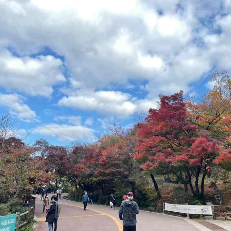 풍순이언니 post 3