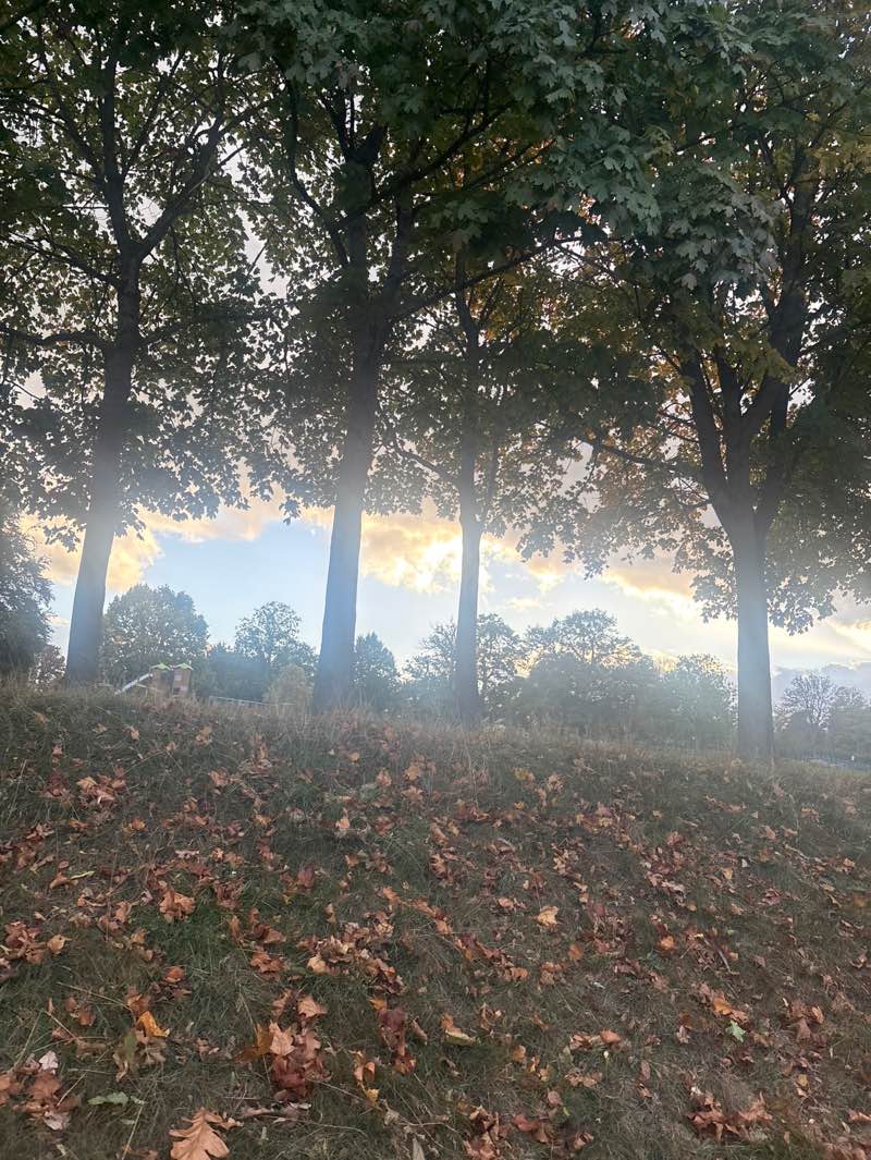 walking near me in Prospect Park in autumn