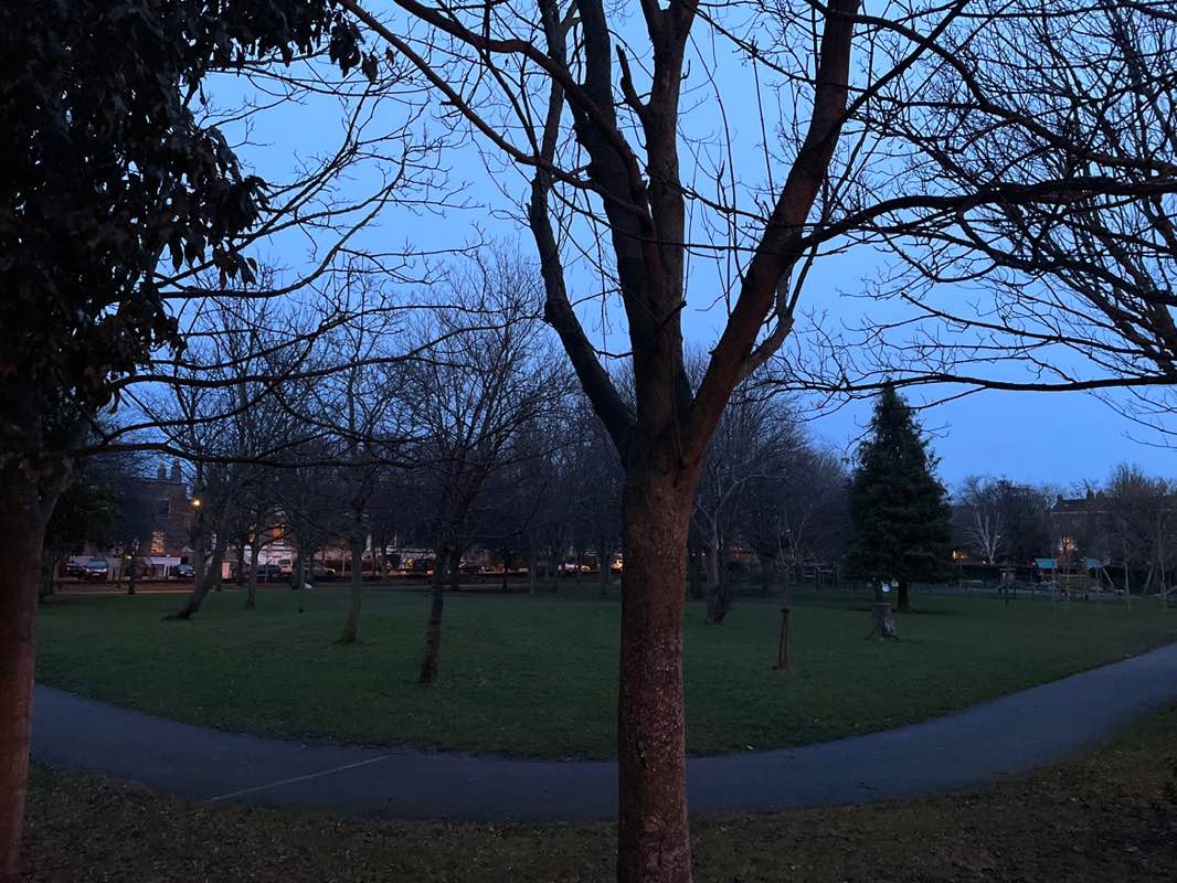 walking near me in Eamonn Ceannt Park in winter