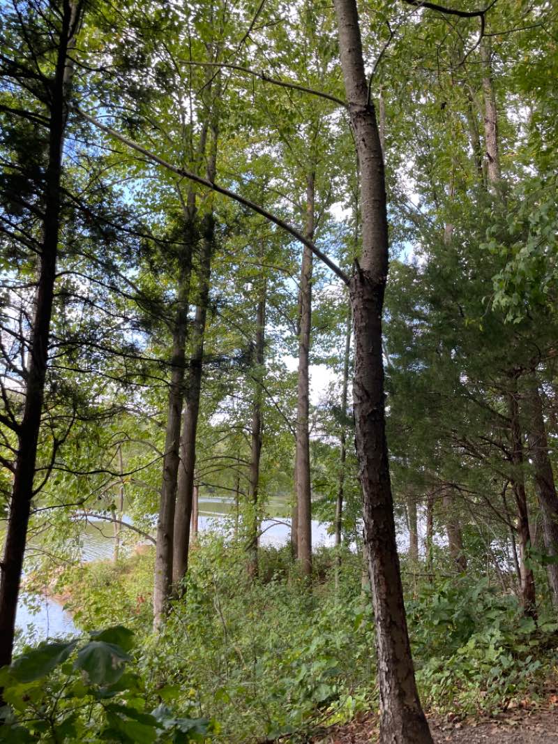 walking near me in Lakeside Park in winter