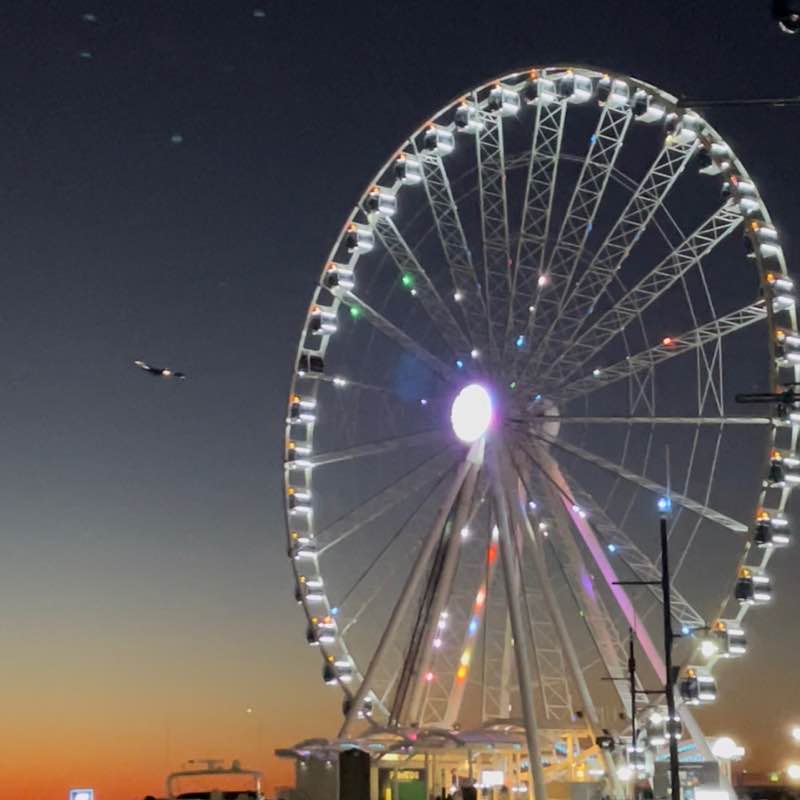 Friends of gatio_67 Susie post image