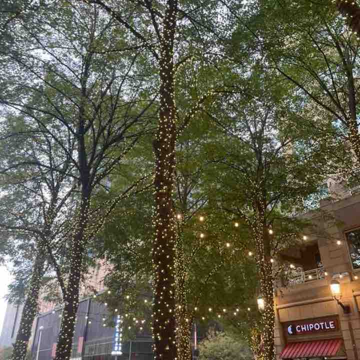 Walk Away the Pounds Susie post image