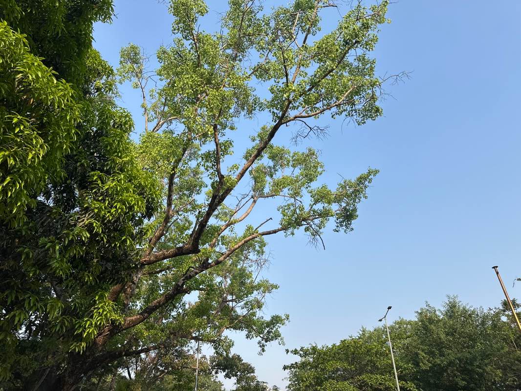 walking near me in Jawahar Park in spring