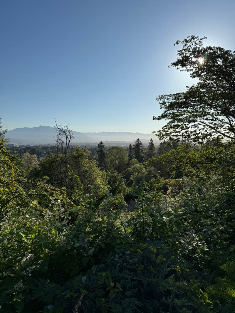 walking near me in Queen Elizabeth Park in summer