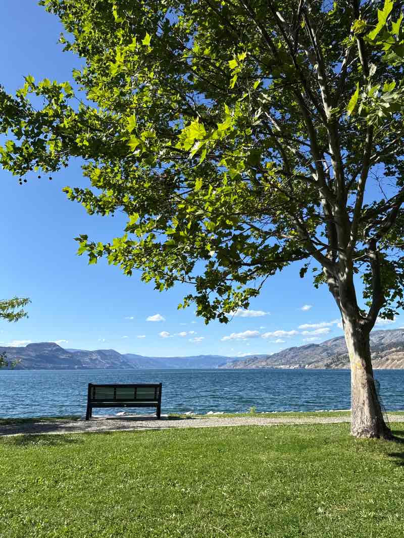 walking near me in Naramata Wharf Park in autumn