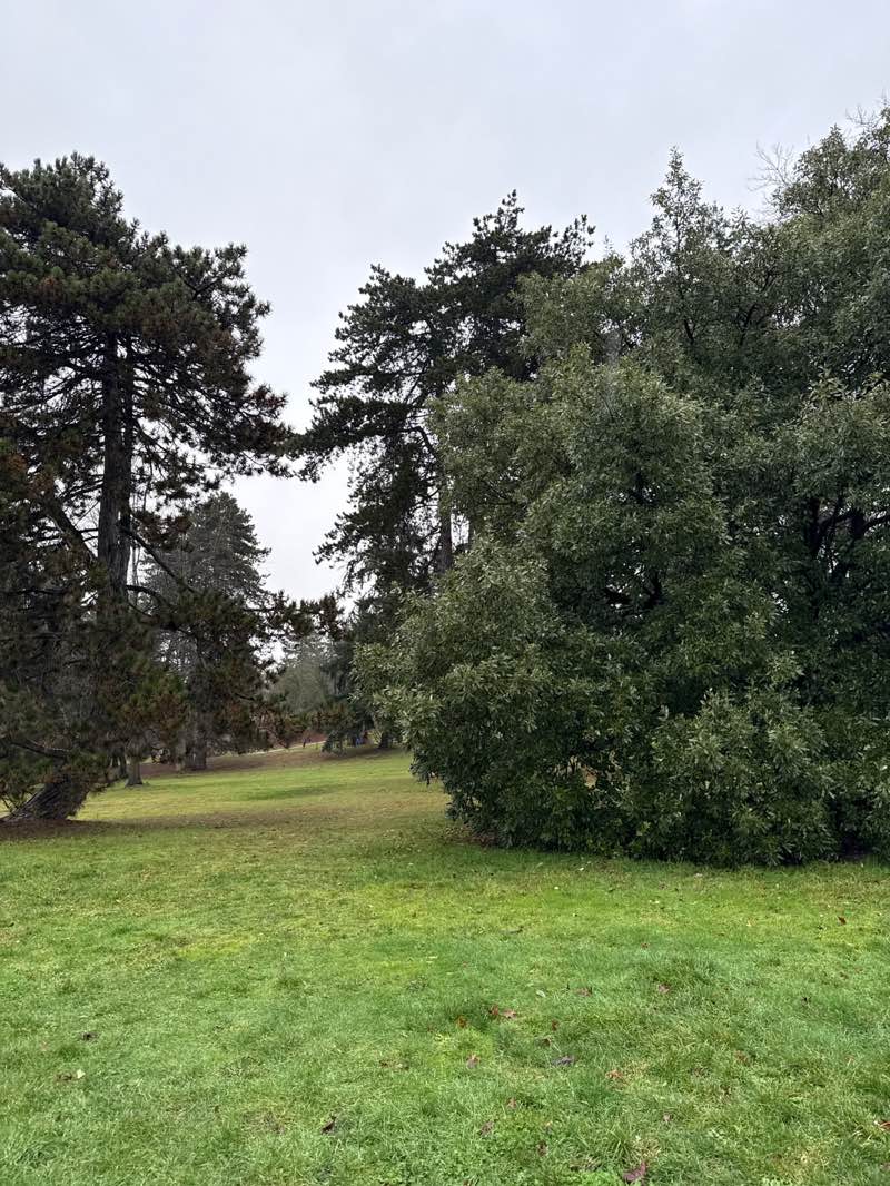 walking near me in Queen Elizabeth Park in winter