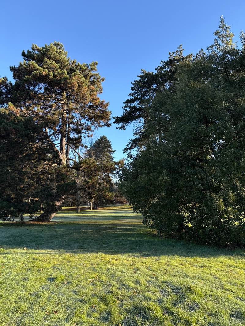 walking near me in Queen Elizabeth Park in winter