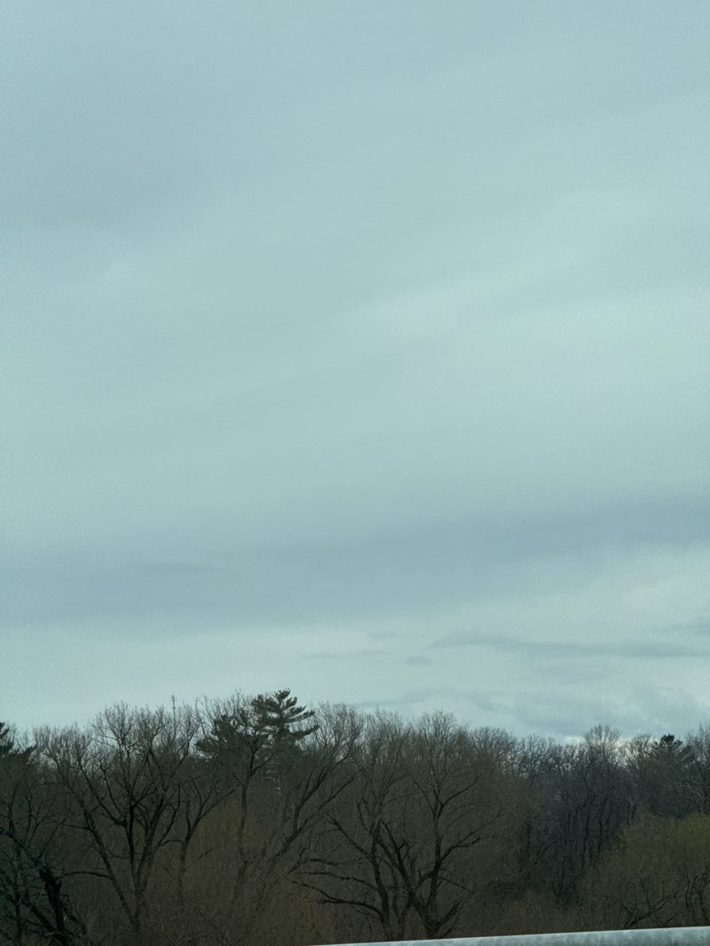 walking near me in Brewer Park in spring