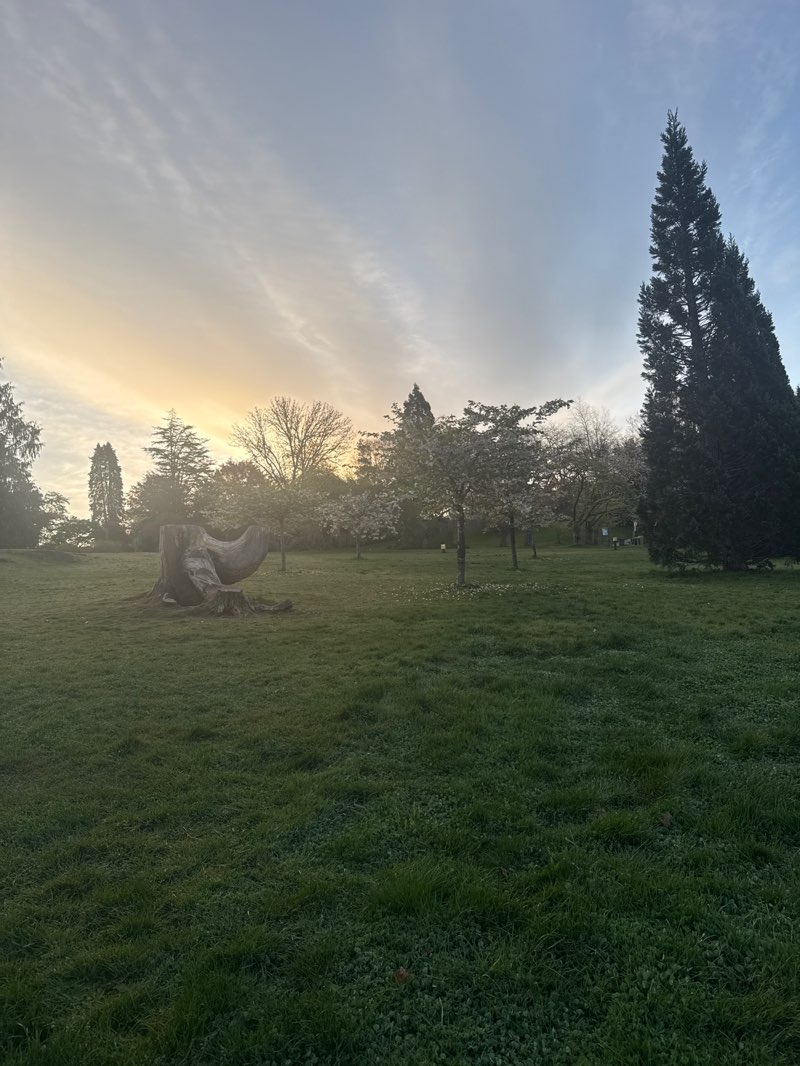 walking near me in Queen Elizabeth Park in spring
