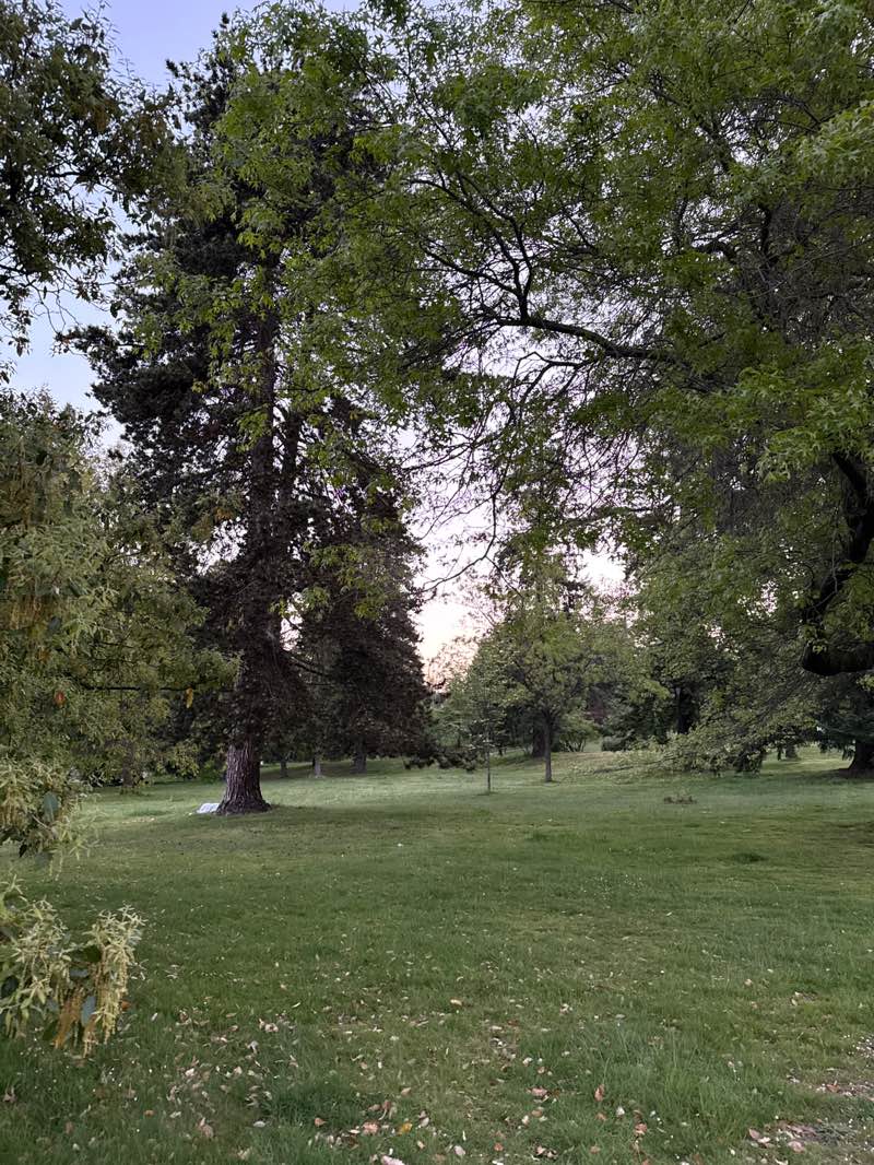 walking near me in Queen Elizabeth Park in spring