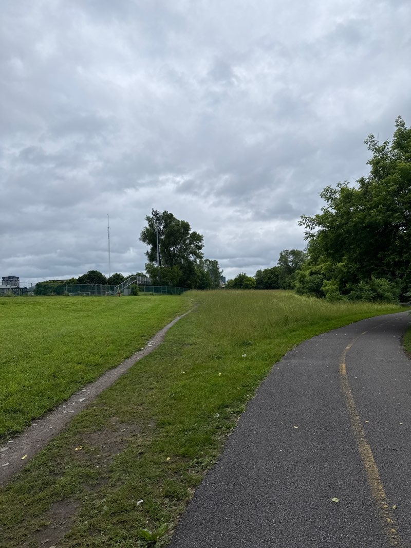 walking near me in Parc de l'Île in summer
