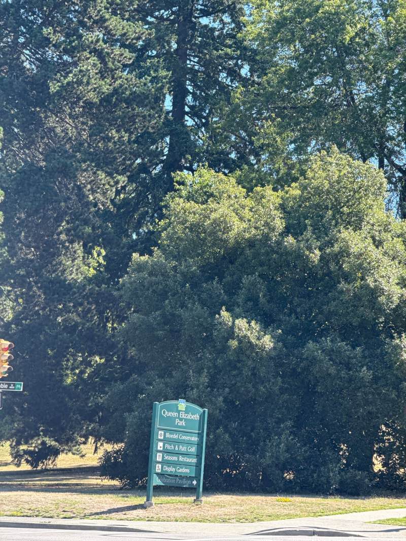 walking near me in Queen Elizabeth Park in summer