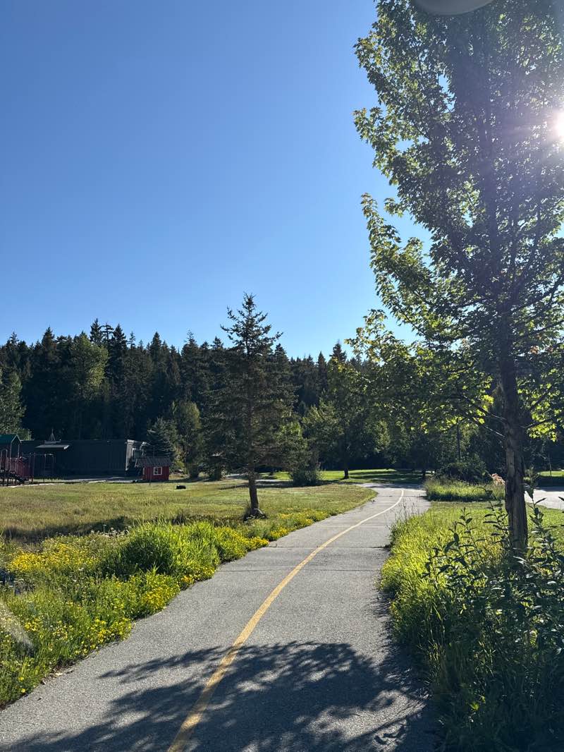 walking near me in Spruce Park in summer