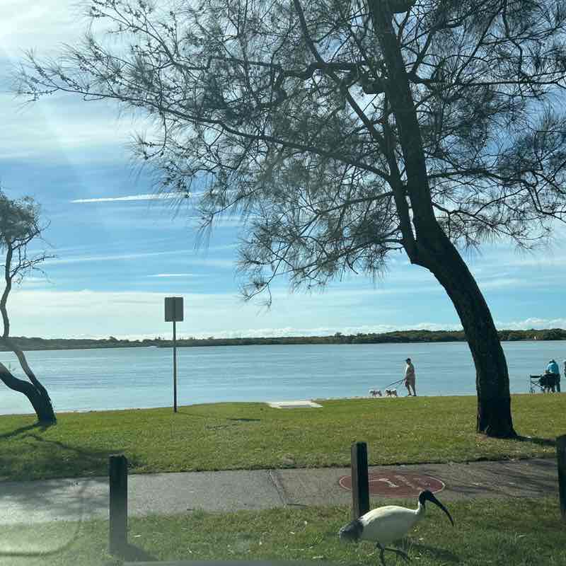 inkednurse84🇦🇺 post 1