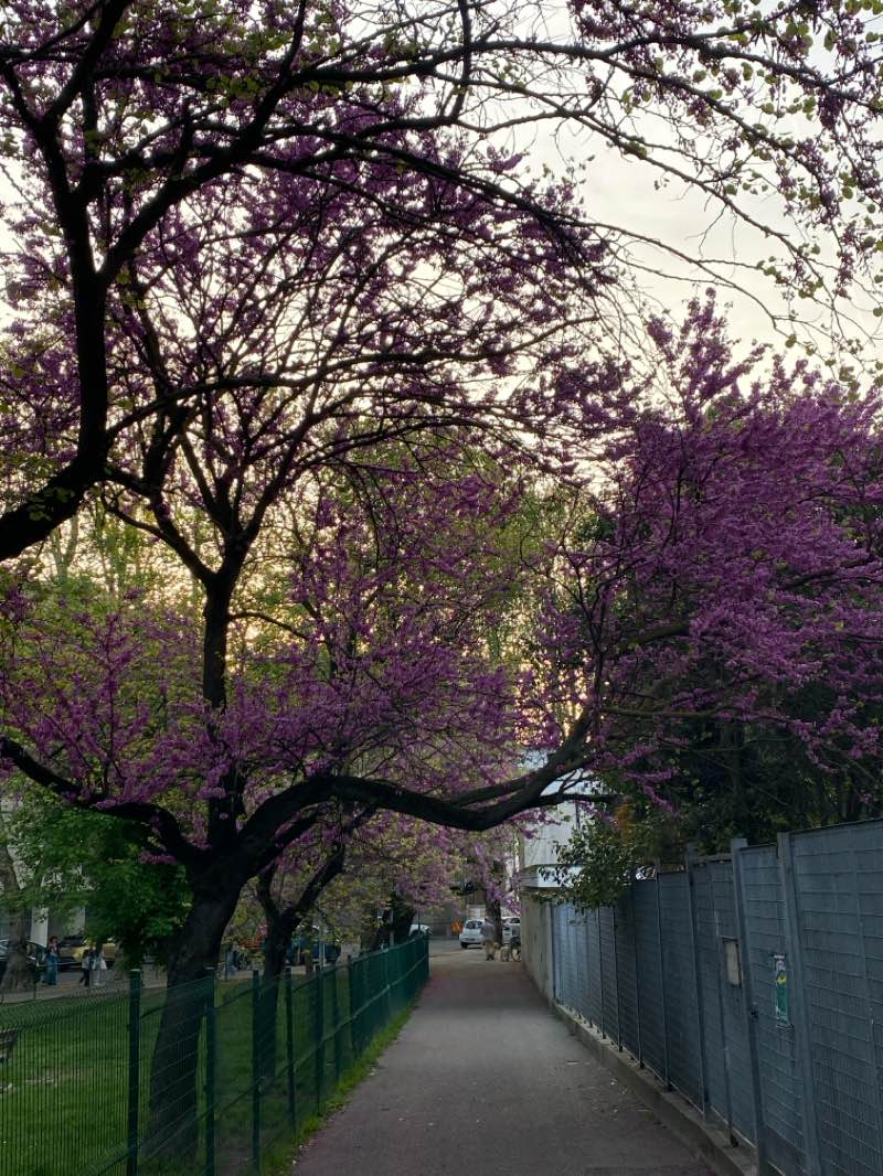 walking near me in Parco 11 Settembre 2001 in winter