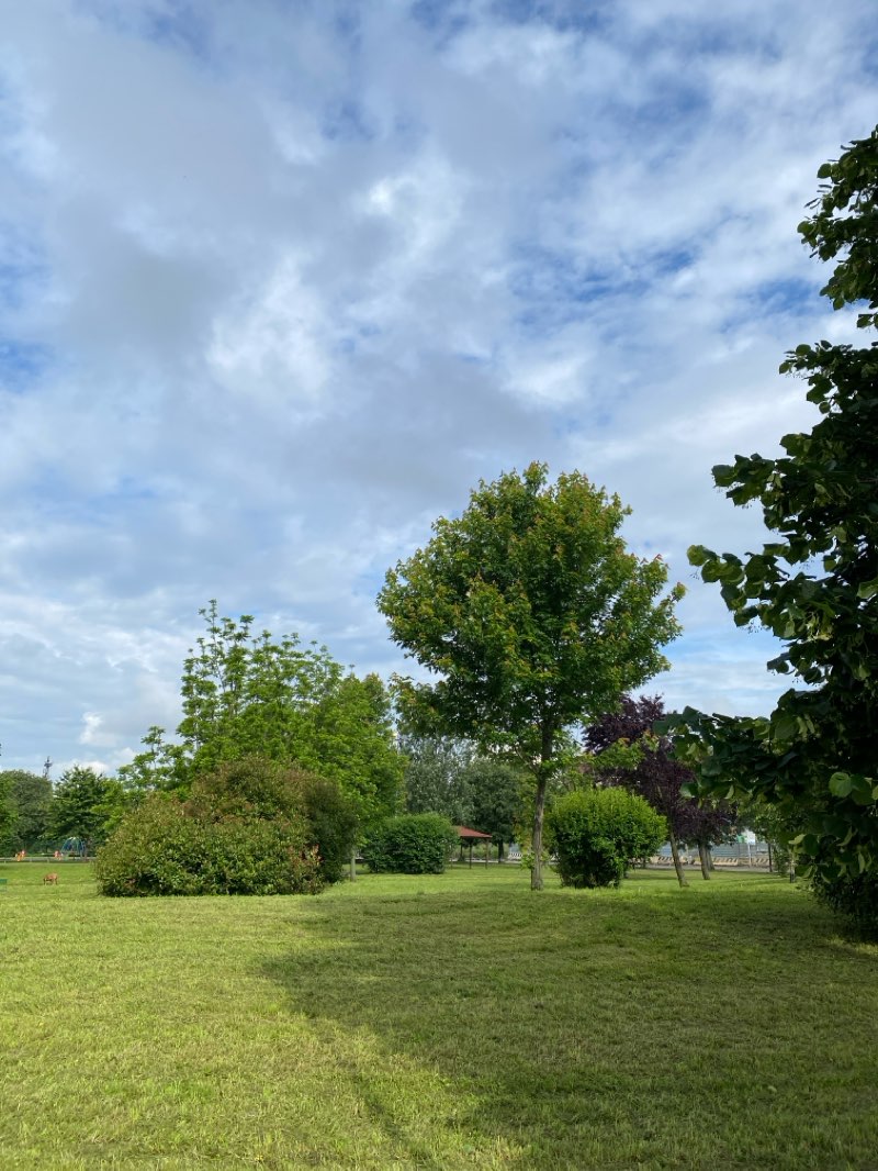 walking near me in Parco Piccolo in winter
