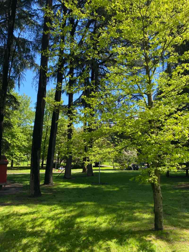 walking near me in Parco delle Betulle in winter