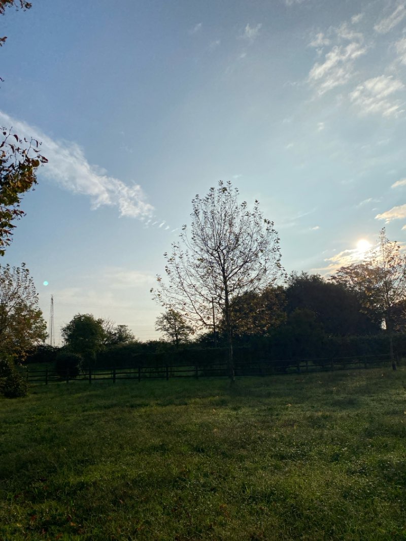 walking near me in Parco del Terdoppio in winter
